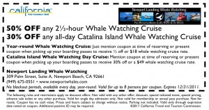 whale watching coupon