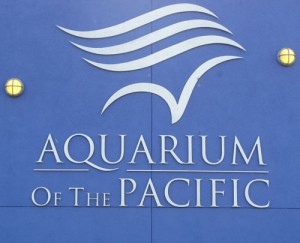 aquarium-of-the-pacific