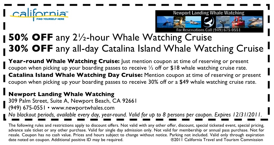 whale watching coupon