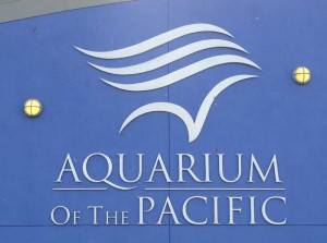 Aquarium of the Pacific